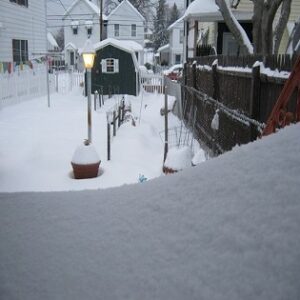 Plan Next Season’s Garden Now Image